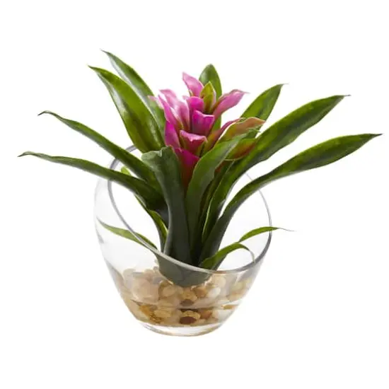 8" Purple Tropical Bromeliad Arrangement in Angled Vase {1}