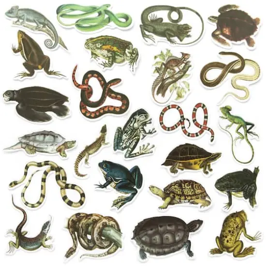 Reptiles Die Cut Stickers by Recollections&trade; {1}