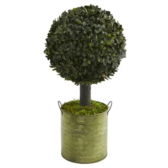 1.5ft. Boxwood Ball Topiary Tree in Green Tin {1}