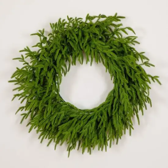 24in. Pre-Lit Artificial Real Touch Norfolk Island Pine Wreath with 50 Warm White LED Lights and Natural Look {6}