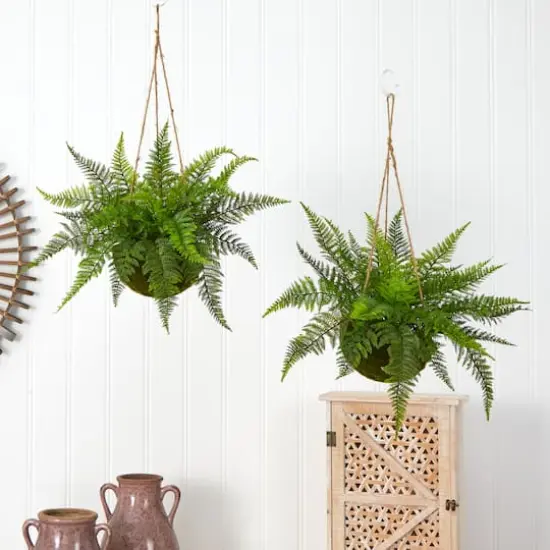 13'' Leather Fern in Mossy Hanging Basket, 2ct. {5}