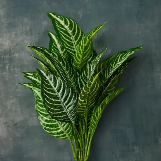 Zebra Bush Classic Greenery by Ashland&reg; {3}