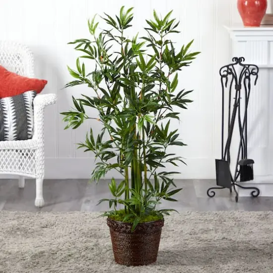 4ft. Bamboo Tree In Coiled Rope Planter {3}