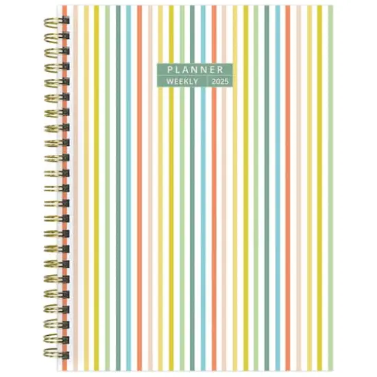 TF Publishing 2025 Medium Malibu Stripes Weekly Monthly Spiral Planner {1}