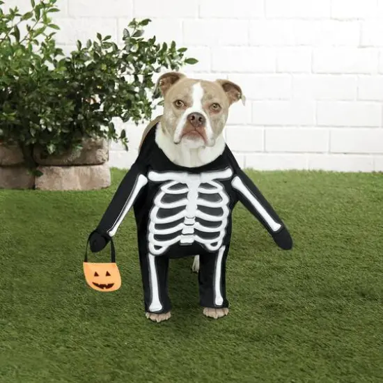 Skeleton Dog Costume by Ashland&reg; {3}