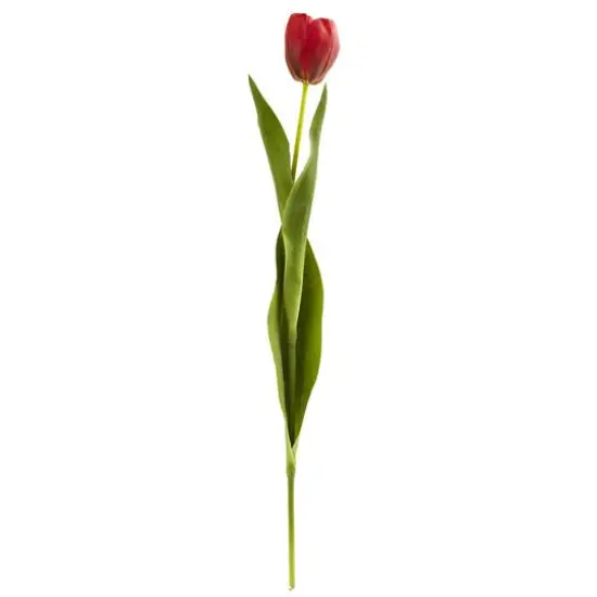 Red Tulip Stems, 8ct. {1}