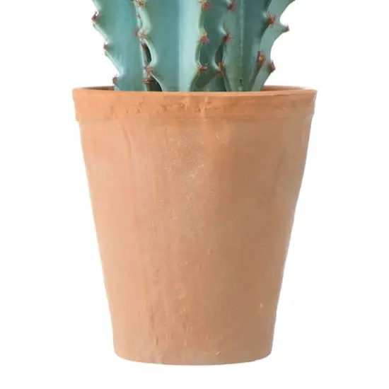 Hello Honey&reg; 20" Faux Cactus in Terra Cotta Colored Pot {9}