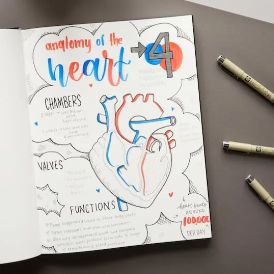 Micron&reg; Fine & Bold Line Cool Gray Pen Set {5}