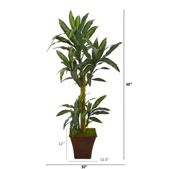 5ft. Yucca Plant in Brown Planter {3}