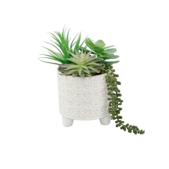 Flora Bunda&reg; 10.5" Mixed Succulent Arrangement in Footed Ivory Cathedral Container {1}