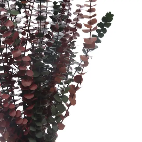 Dried Eucalyptus Bundle by Ashland&reg; {3}