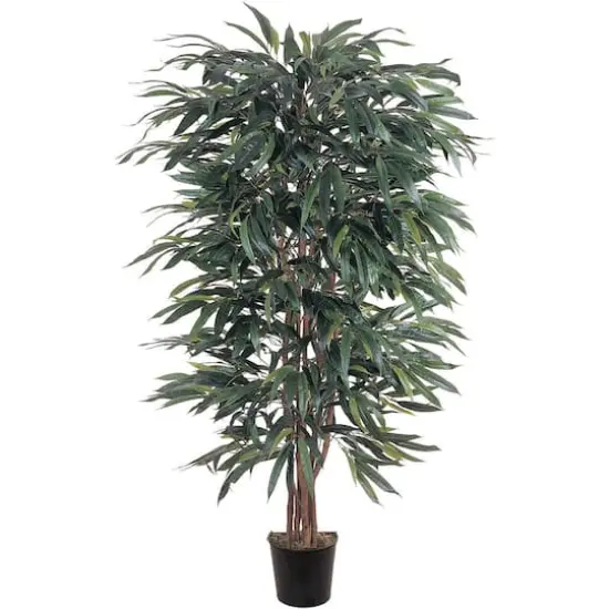 5ft. Potted Weeping Ficus Tree {1}