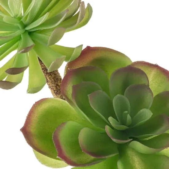 Assorted 11" Red Tipped Succulent Pick by Ashland&reg; {4}