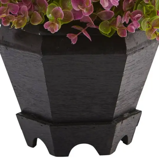 13in. Sedum & Eucalyptus Plant in Black Hexagon Planter {4}