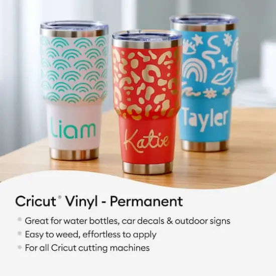 Cricut&reg; Permanent Vinyl, Everything Sampler {5}