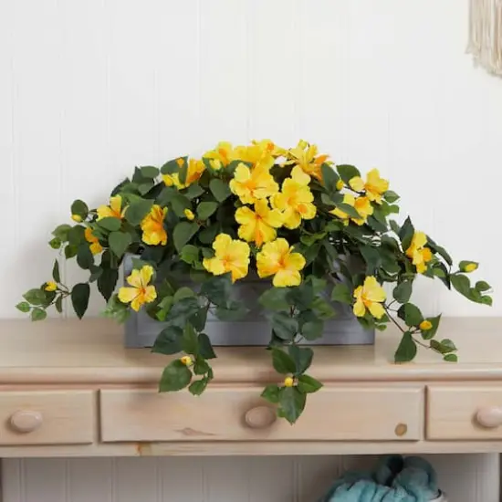 18" Yellow Hibiscus Plant in Stone Planter {4}