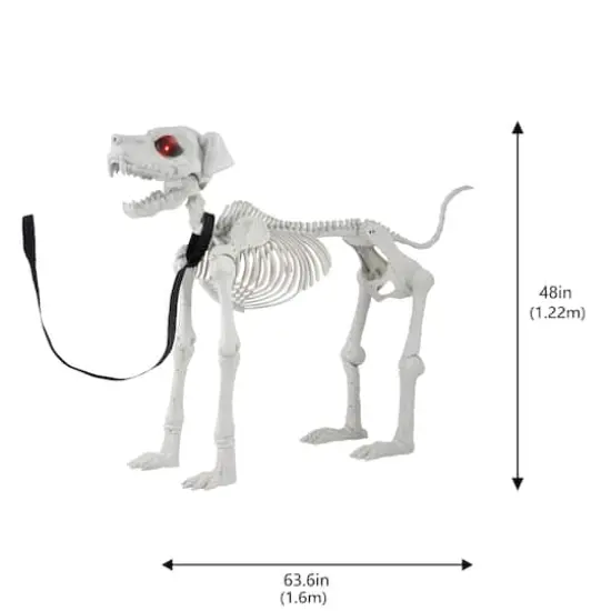 5ft. Poseable Dog Skeleton by Ashland&reg; {6}