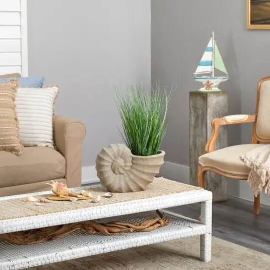 21" Onion Grass Plant in Shell-Shaped Planter {5}