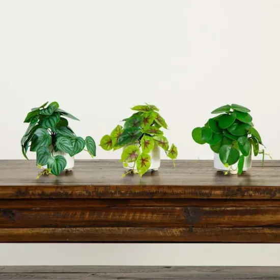 8" Mixed Greenery in Ceramic Planters Set {6}