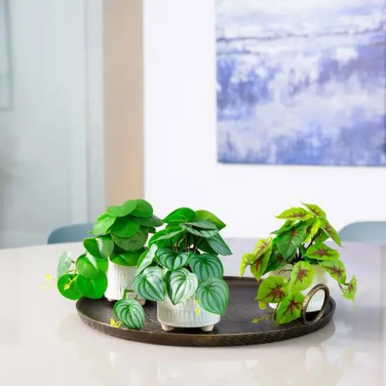 8" Mixed Greenery in Ceramic Planters Set {3}