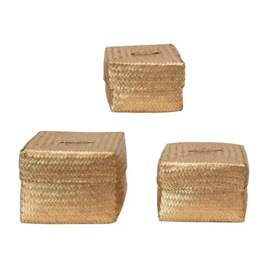 Hello Honey&reg; Gold Hand-Woven Seagrass Baskets with Lids Set {1}