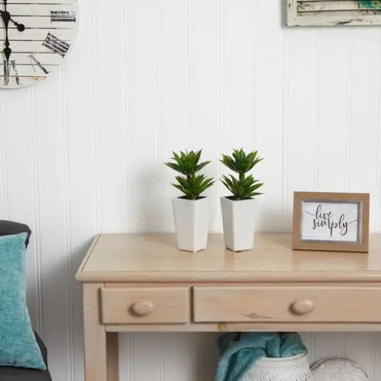 11.5" Double Mini Agave Arrangement with Planter, 2ct. {6}