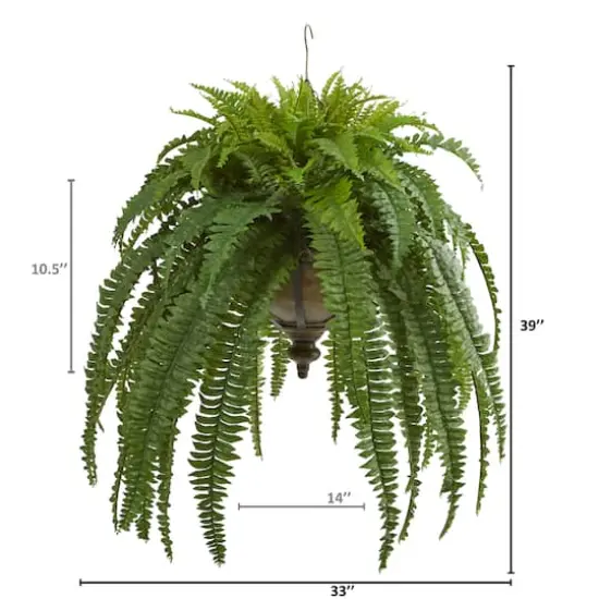 3ft. Boston Fern Plant in Metal Hanging Bowl {3}