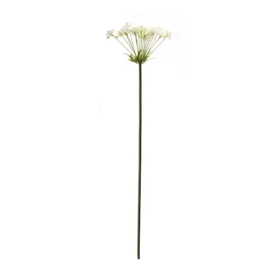 Queen Anne's Lace Stem, 2ct. {4}