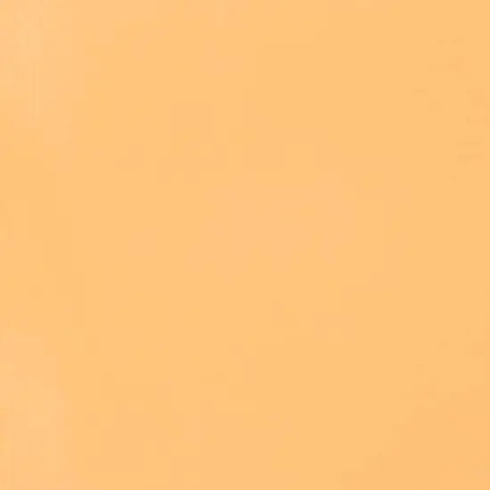 Liquitex&reg; Professional 2oz. Heavy Body Acrylic Paint 434 Unbleached Titanium {6}