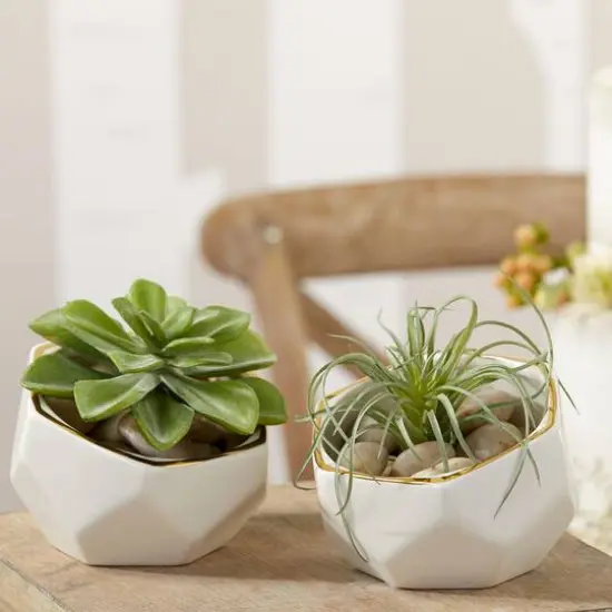Kate Aspen&reg; Geometric Ceramic Planter Set {6}