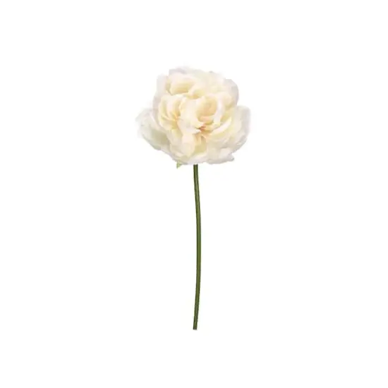 Cream Blush Peony Stem {1}