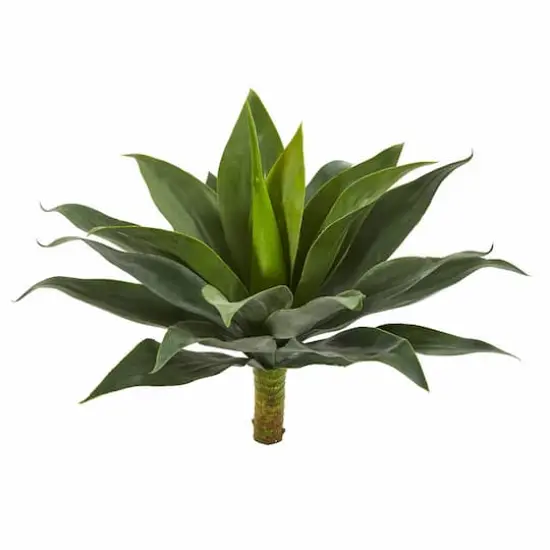 19" Agave Plant Set {1}