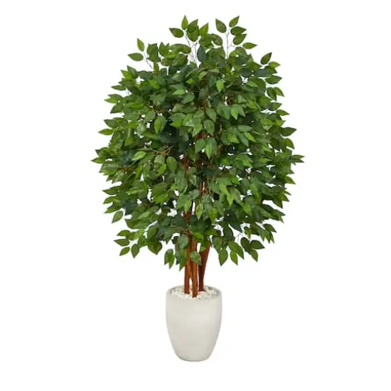 57" Super Deluxe Ficus Tree in White Planter {1}