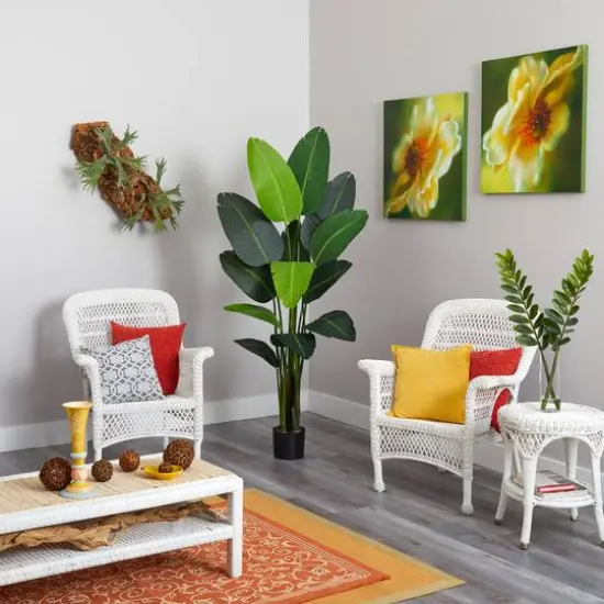 6ft. Potted Travelers Palm Tree {5}