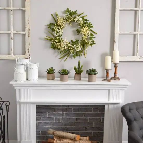 6" Potted Mixed Succulent Plants, 4ct. {8}