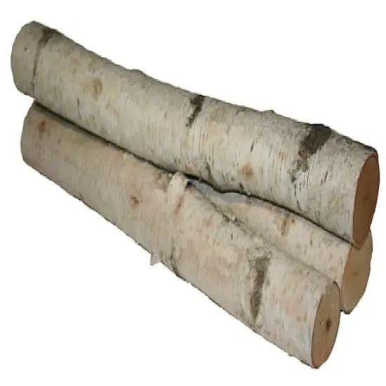 Wilson&reg; Enterprises 6"-8" Large White Birch Fireplace Set, 3ct. {1}