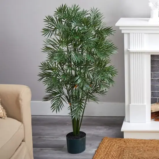 4ft. Potted Parlour Palm Tree {5}