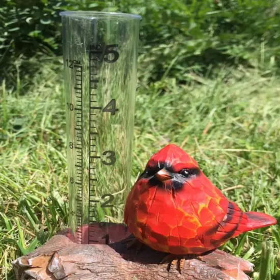 Santa's Workshop 6" Cardinal Rain Gauge {3}