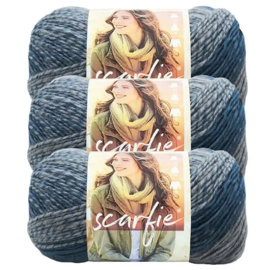 3 Pack Lion Brand&reg; Scarfie&reg; Yarn Teal/Silver {1}