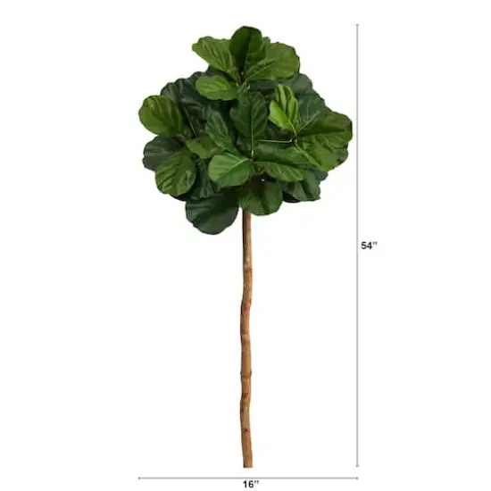 4.5ft. Fiddle Leaf Fig Tree {3}