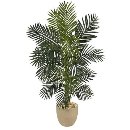 5ft. Golden Cane Palm Tree in Sandstone Planter {1}