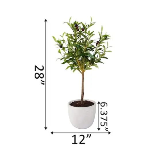 Flora Bunda&reg; 28" Olive Tree In 7.25" Gray Cement Pot {3}