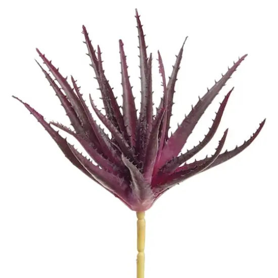 Soft Touch Eggplant Spiky Aloe Pick {1}
