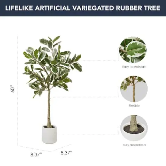 American Art Decor 5ft. Realistic Artificial Variegated Rubber Tree in White Pot {5}