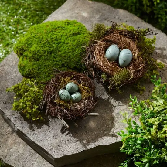 Twig Bird Nests with Eggs Set {3}