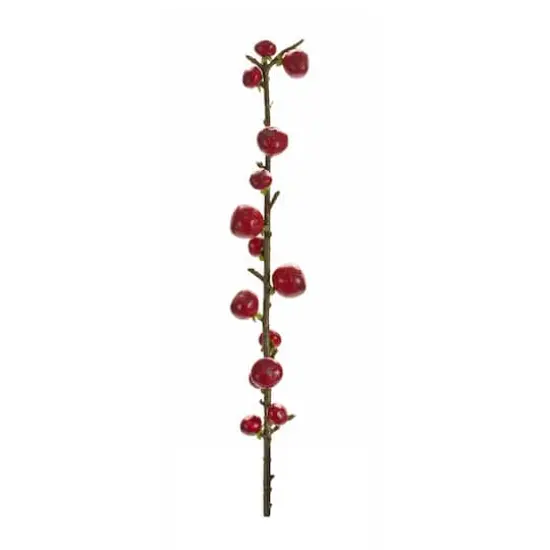 33.25" Red Berry Twig Stems, 6ct. {4}