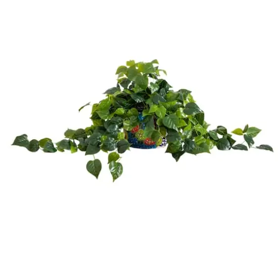 3.5ft. UV-Resistant Artificial Philodendron in Handmade Mexican Talavera Ceramic Planter {1}