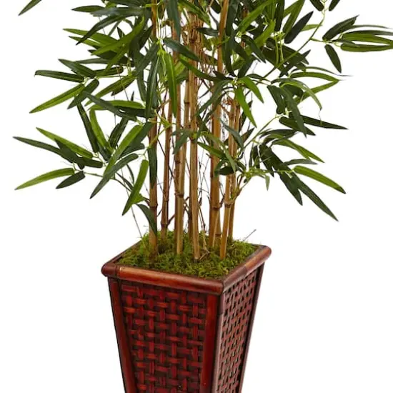 4.5ft. Bamboo Tree in Bamboo Tower Planter {4}