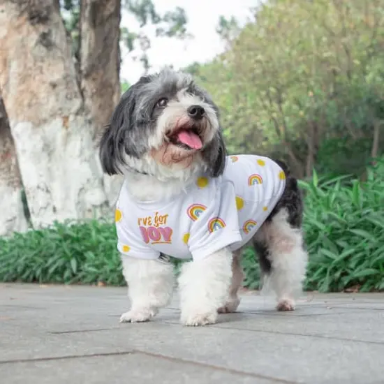 Craft Express White Small Format Heat Press {7}