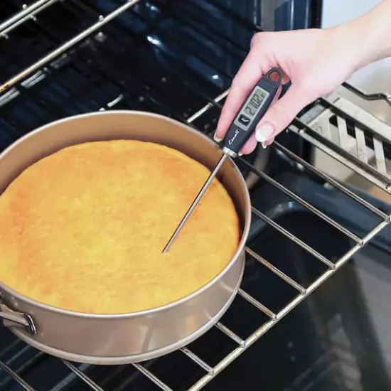 Escali Black Gourmet Digital Thermometer {7}